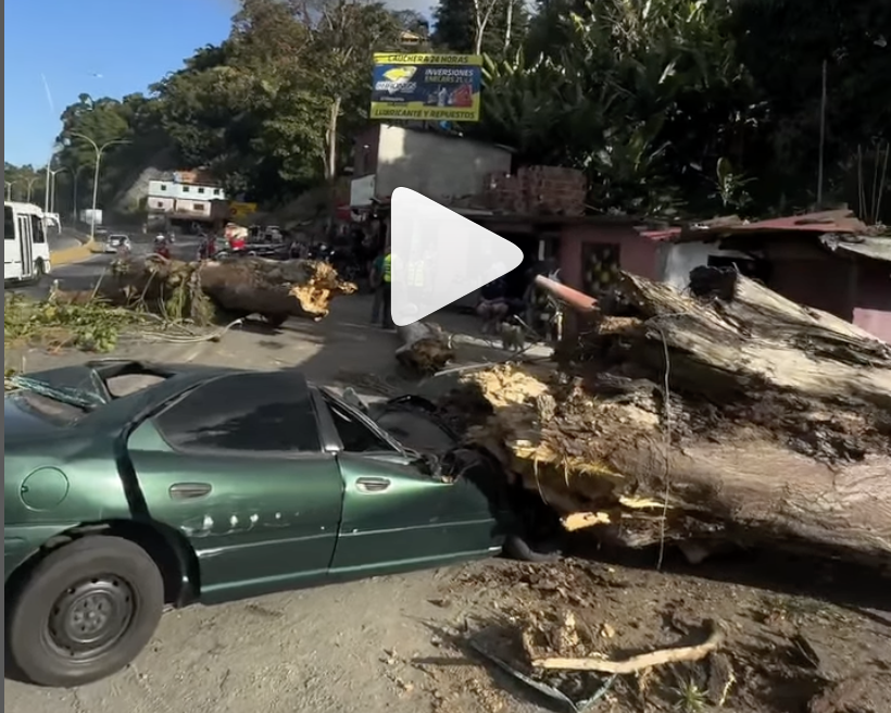 Árbol cayó sobre un vehículo en la ARC